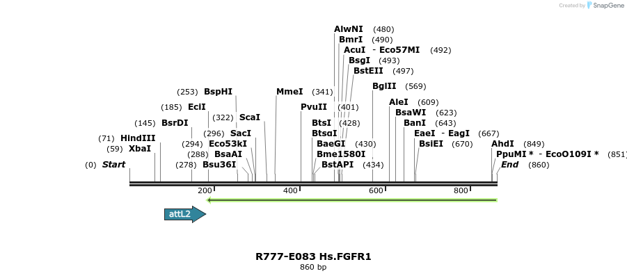 129424_map