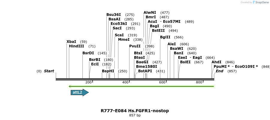 129426_map