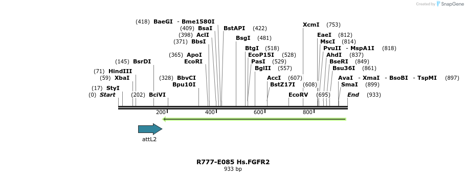 129429_map