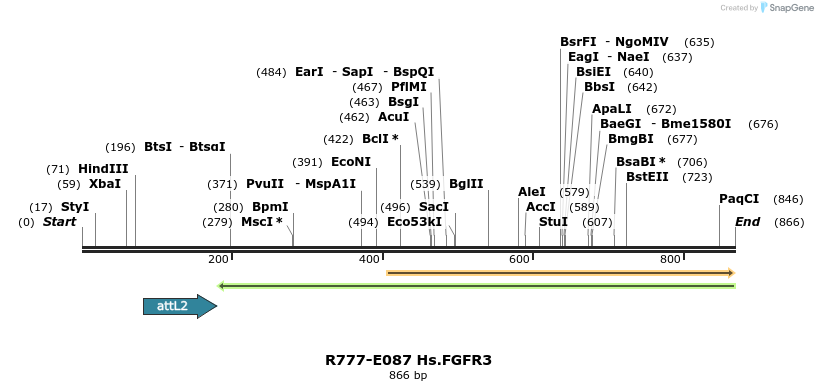 129433_map