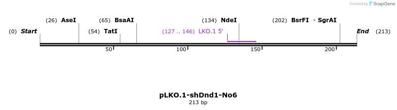 129435_map