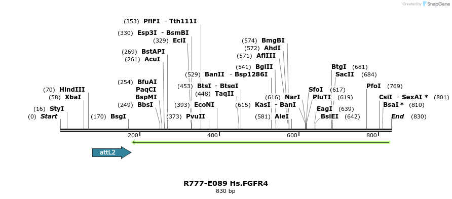 129436_map