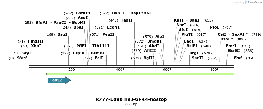 129438_map