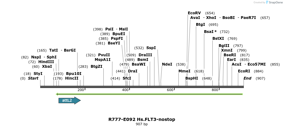129442_map