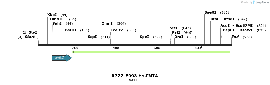 129443_map