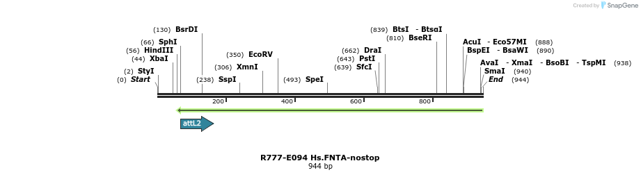 129446_map