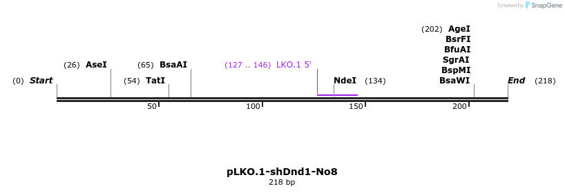 129447_map