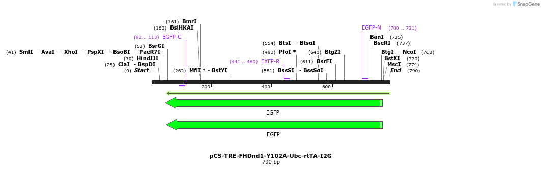 129457_map