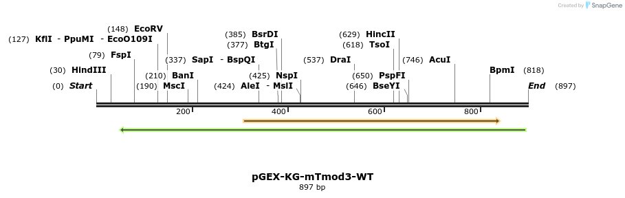 129459_map