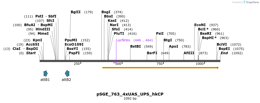 129460_map