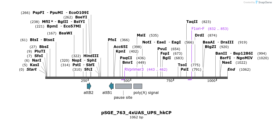 129461_map
