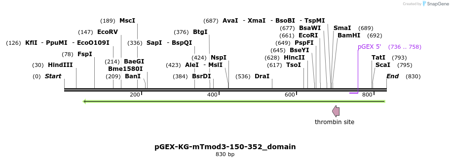 129465_map
