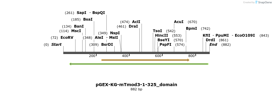 129470_map