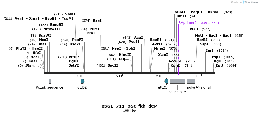 129474_map
