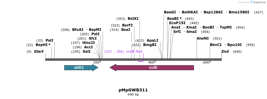 129492_map