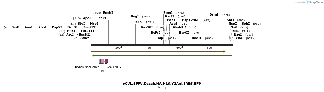 129493_map