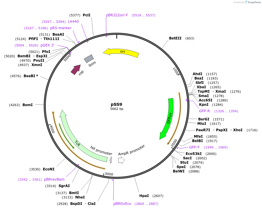 129497_map