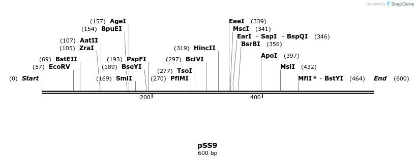 129498_map