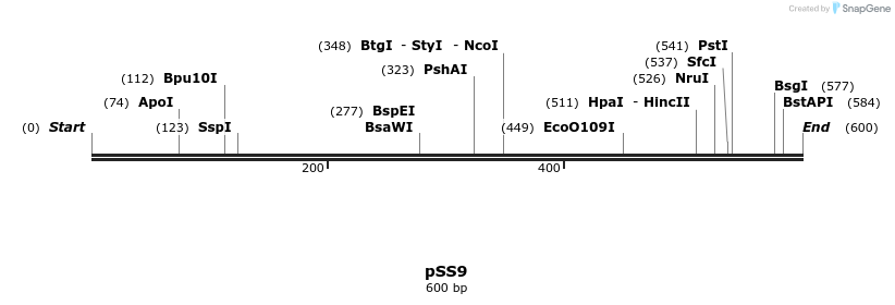 129499_map
