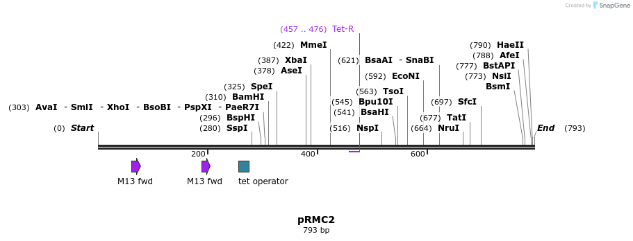 129509_map