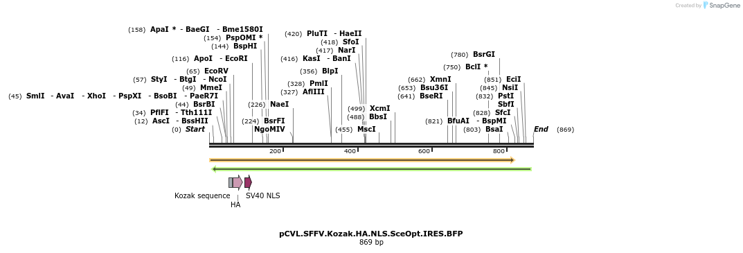 129517_map