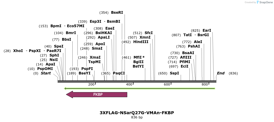 129531_map
