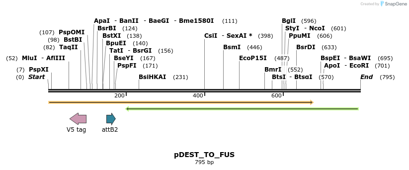 129534_map