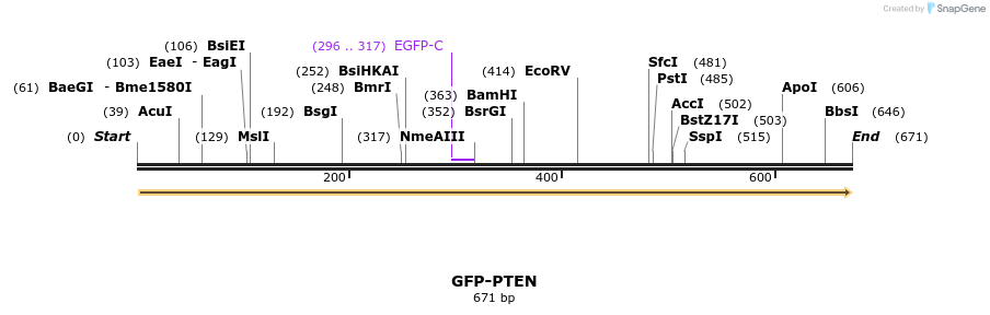 129536_map