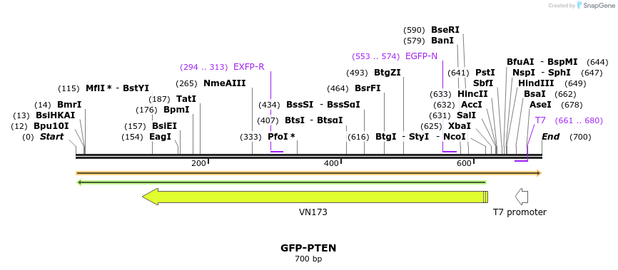 129538_map