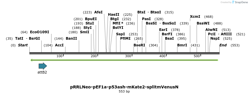 129544_map