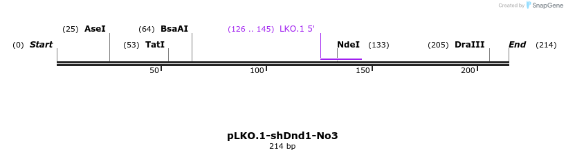 129546_map