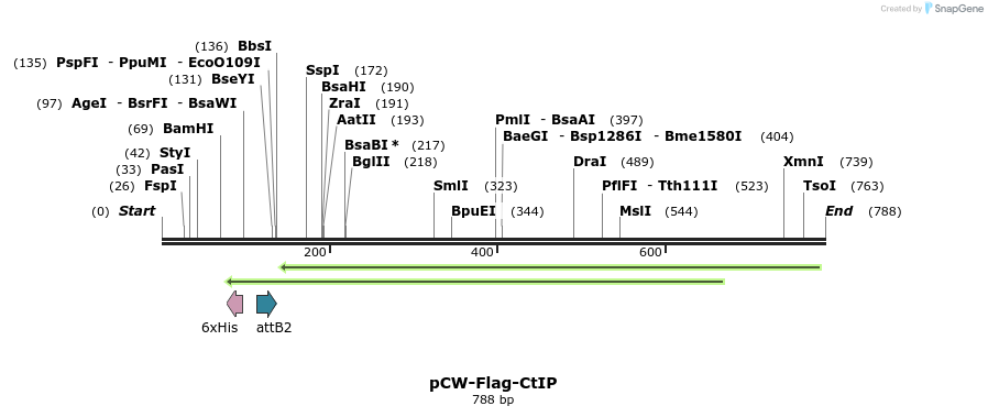 129547_map