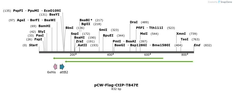 129552_map