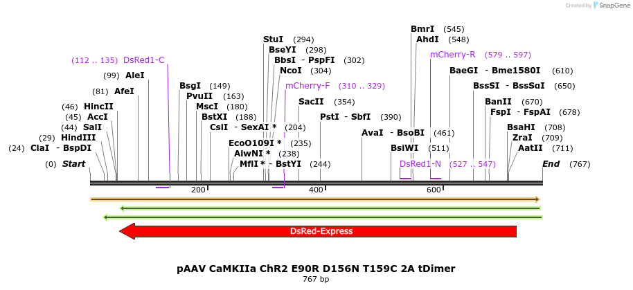 129562_map