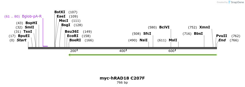 129566_map