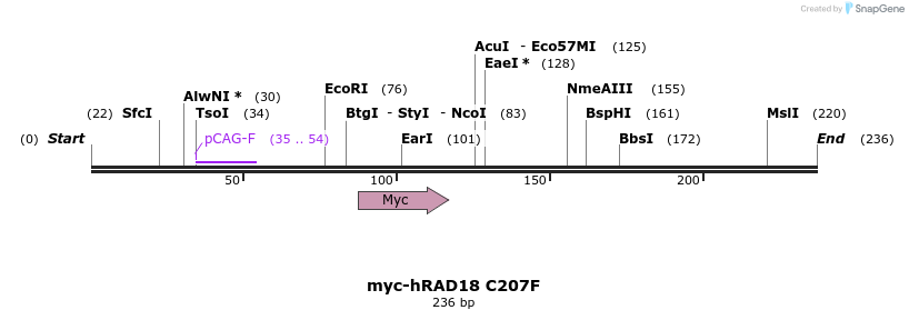 129569_map