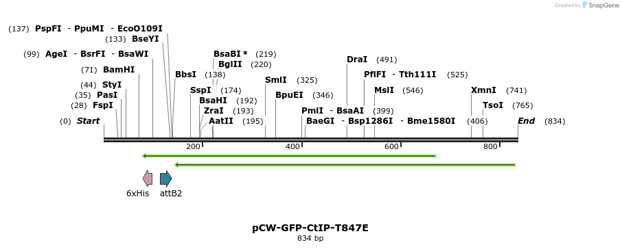 129570_map