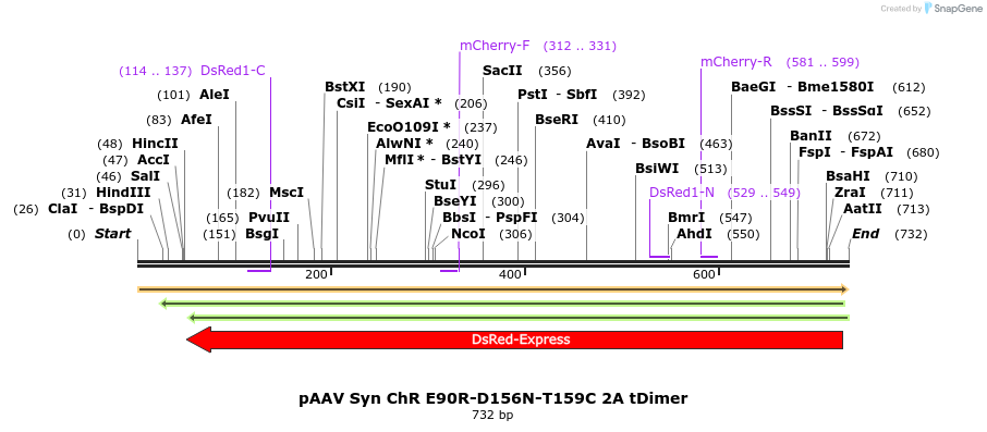 129574_map