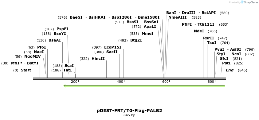 129575_map