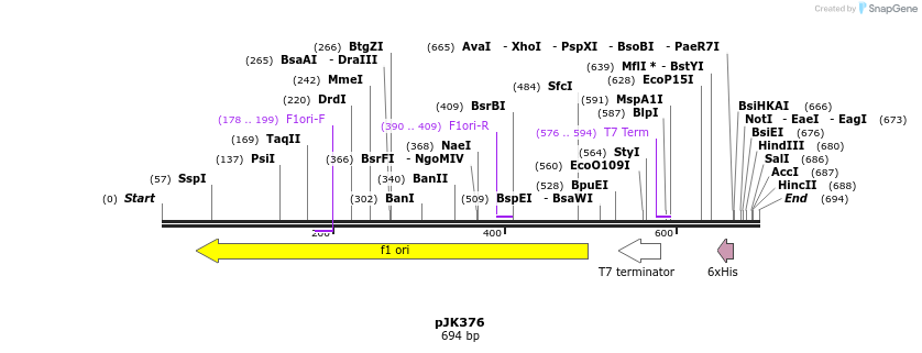 129586_map