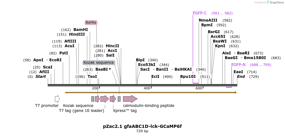 129589_map