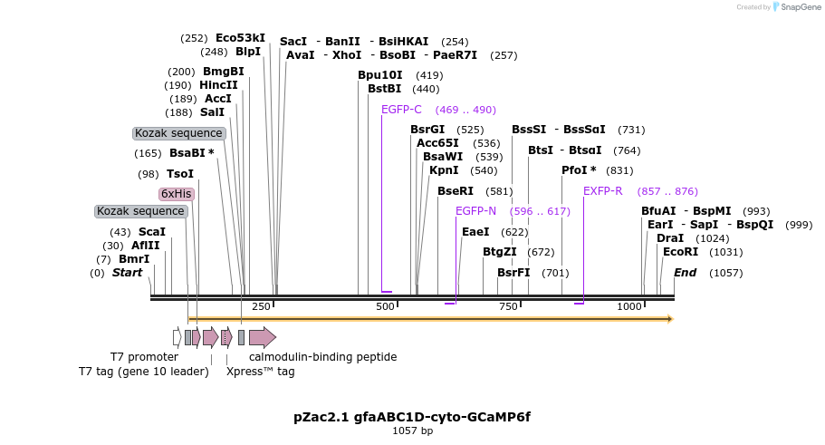 129590_map