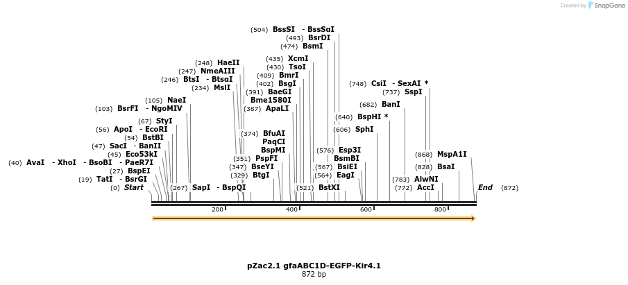 129591_map