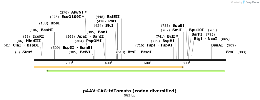 129599_map