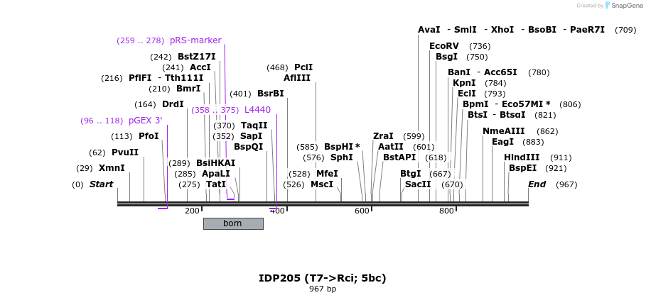 129602_map