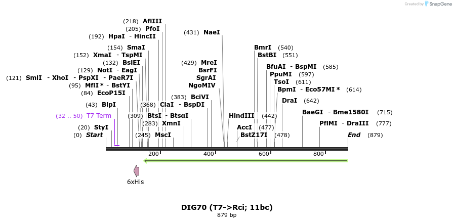 129608_map