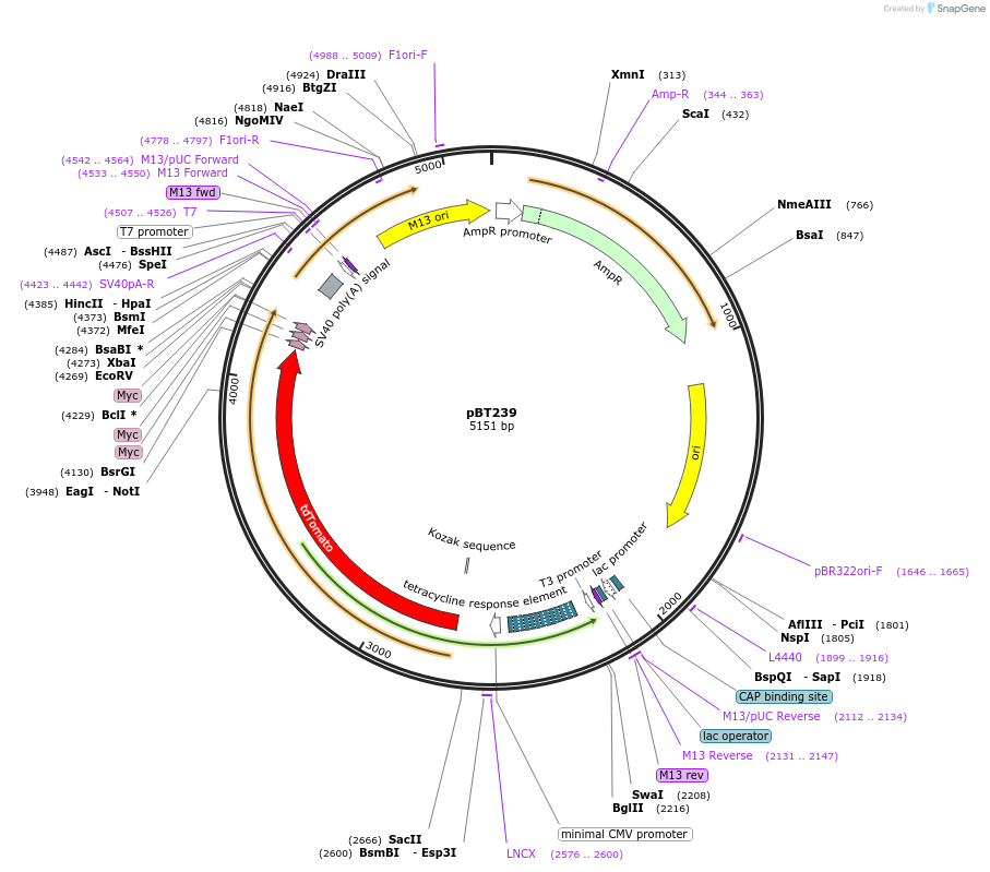 12961_map