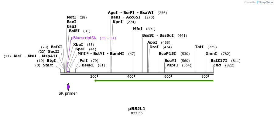 129610_map