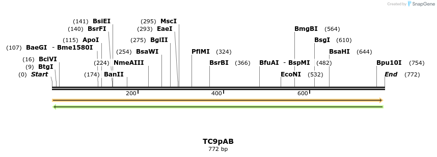 129611_map