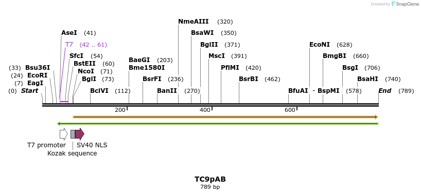 129612_map